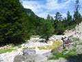 View of Krnica alpine mountain stream in Julian alps and Triglav national park Royalty Free Stock Photo