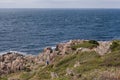 View from Kullaberg a rocky peninsula and in south sweden