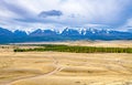 View of Kurai steppe and Altai mountains. Altai Republic, Siberia, Russia Royalty Free Stock Photo