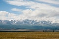 View of the Kuray Range in the summer in the Altai