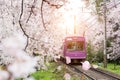 View of Kyoto local train traveling on rail tracks with flourish