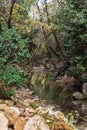 View of Kziv Stream at the end of the Black marked trail, Montfort Nahal Kziv National park, Ein Tamir, Ein Hardalit