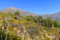 View of the La Campana National Park Royalty Free Stock Photo