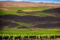 View of La Geria vineyard on black volcanic ground .Scenic landscape Lanzarote. Canary Islands. Spain made