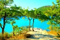 View at Lago di Fiastra with oak trees, trunks, foliage, sunlight, waters and the Sibillini