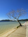 A view of Lagoa da Conceicao in winter - Florianopolis, Brazil