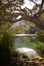 View of a laguna Coromoto in Sierra Nevada National Park, in the venezuelan Andes mountains