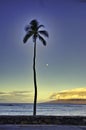 View from Lahaina out to the ocean, a palm tree, and Lanai.