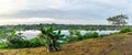 View of the lake in the Amazon Rainforest, Manaos, Brazil Royalty Free Stock Photo