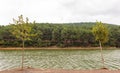View of Lake in Aydos Forest on a cloudy day Royalty Free Stock Photo