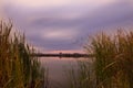 View of the lake from behind the reeds. Sunrise behind the reeds. Royalty Free Stock Photo