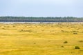 View of the lake and bogs landscapes