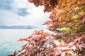 View of Lake Como from the botanical garden of Villa Monastero, Varenna, Italy Royalty Free Stock Photo