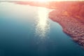 Drone view of the lake in early spring Royalty Free Stock Photo