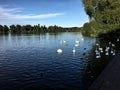 A view of the lake at Ellesmere