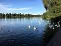 A view of the lake at Ellesmere