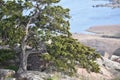 View from Mt. Scott near Lawton Oklahoma. Royalty Free Stock Photo