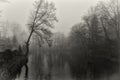Winter fairy tale in the mist. Black and white. Royalty Free Stock Photo