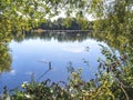 View of a lake through a gap in a green hedgerow Royalty Free Stock Photo
