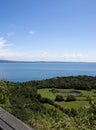 View on the lake Garda and vineyards.