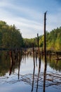 View of lake in geo park in Leknica Royalty Free Stock Photo