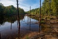 View of lake in geo park in Leknica Royalty Free Stock Photo