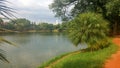 View from the lake at Ibirapuera park