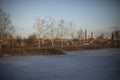 View of lake. Landscape with plant. Ice on lake Royalty Free Stock Photo