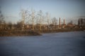 View of lake. Landscape with plant. Ice on lake Royalty Free Stock Photo