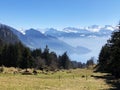 View of Lake Lucerne VierwaldstÃÂ¤tersee and Swiss Alps in the background from Rigi Mountain Royalty Free Stock Photo
