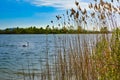 View of the lake of madine Royalty Free Stock Photo