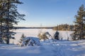 View of Lake Meiko area in winter, rocks, pine trees and lake, Kirkkonummi, Finland