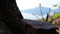 A view of lake and mountain with tree trunk and limestone. Royalty Free Stock Photo