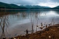 View of lake and mountains against cloudy gray sky before thunderstorm with dead pricky weed wood in the lake.