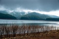 View of lake and mountains against cloudy gray sky before thunderstorm with dead pricky weed wood on waterside.