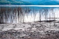 View of the lake and mountains with dead branches of pricky wood weed in the water and muddy beach on the foreground.