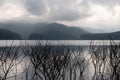 View of the lake and mountains with dead branches of pricky wood weed in the water under nimbus cloudy sky.