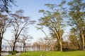 View at Lake Nakuru National Park Royalty Free Stock Photo