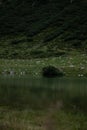 View on lake near waterfall in green mountains in Alps Royalty Free Stock Photo