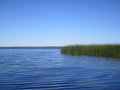 View of Lake Newnan Florida