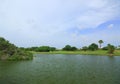 View of lake with palm trees and blue sky with white clouds on background. Aruba island. Royalty Free Stock Photo