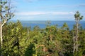 View of the lake Piellinen with forest on foreground Royalty Free Stock Photo