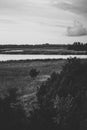 View of the lake shore with bent and lonely tree silhouette. summer landscape black and white effect