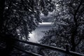 View on lake from shore near the pine forest on mountain background with high vista at night Royalty Free Stock Photo