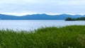 view of the lake with the shore overgrown with reeds Royalty Free Stock Photo