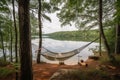 view of lake, surrounded by hammocks and swings