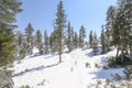 Lake Tahoe Scenic Winter Background