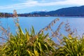 View Of Lake Te Anau, South Island, New Zealand