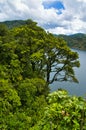 View of Lake Waikaremoana, Te Urewera National Park, New Zealand Royalty Free Stock Photo