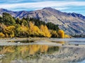 A View On The Lake Wanaka In The South Island Of New Zealand With Reflection Of The Golden Autumn Trees In The Water